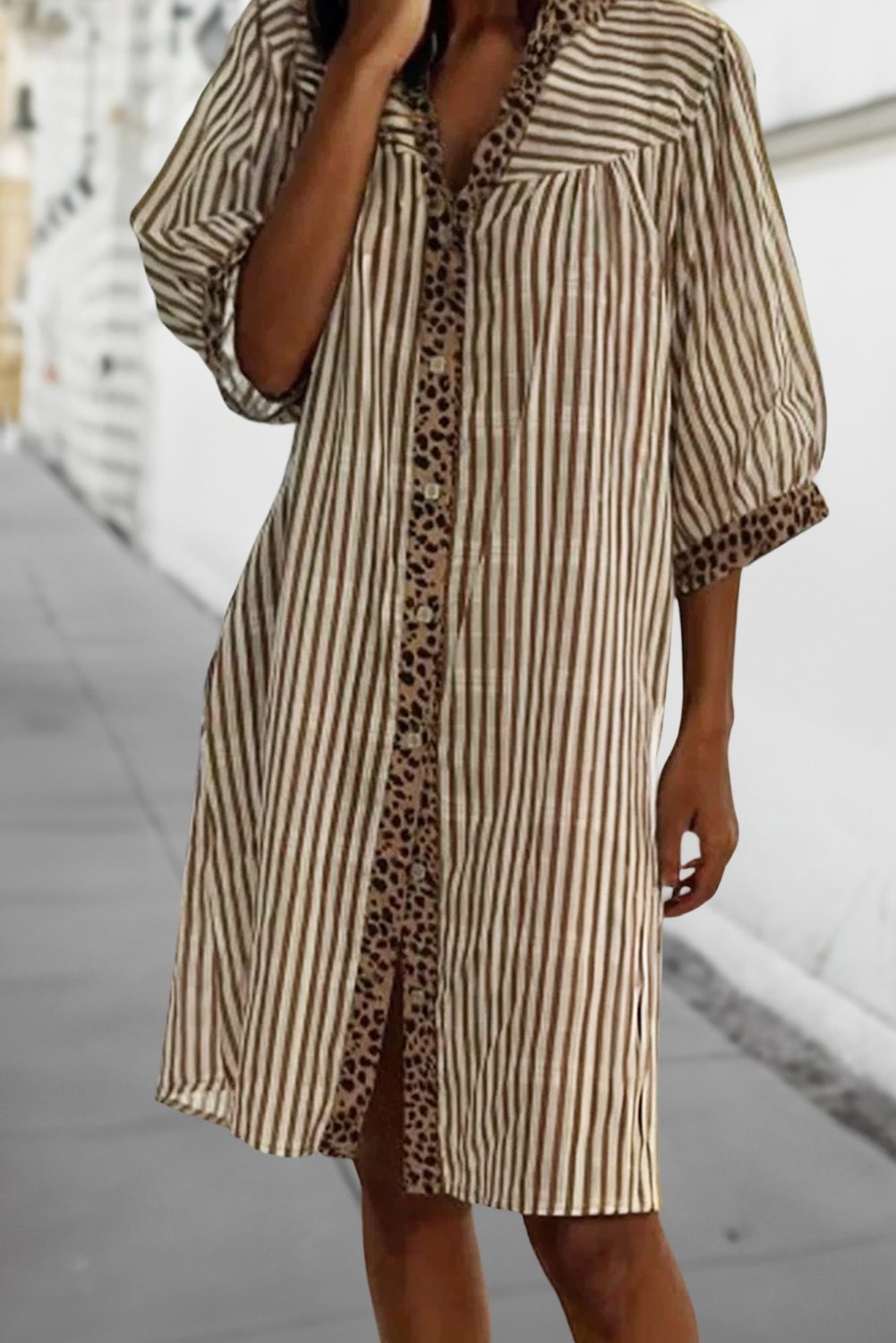 Stripe Leopard Print Shirt Dress