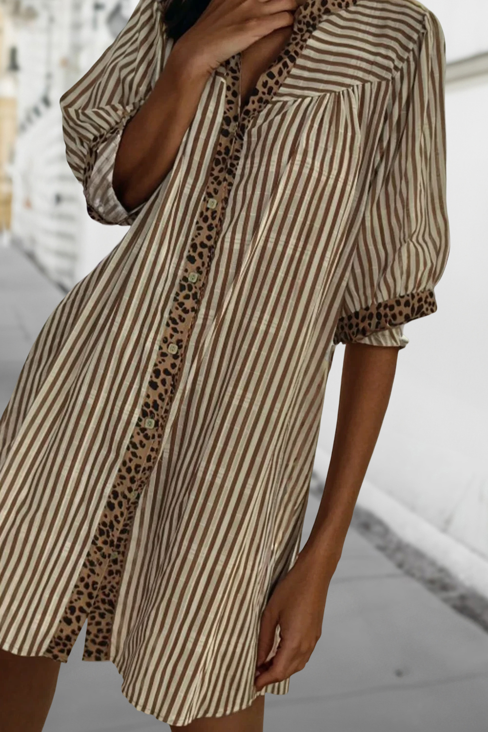Stripe Leopard Print Shirt Dress