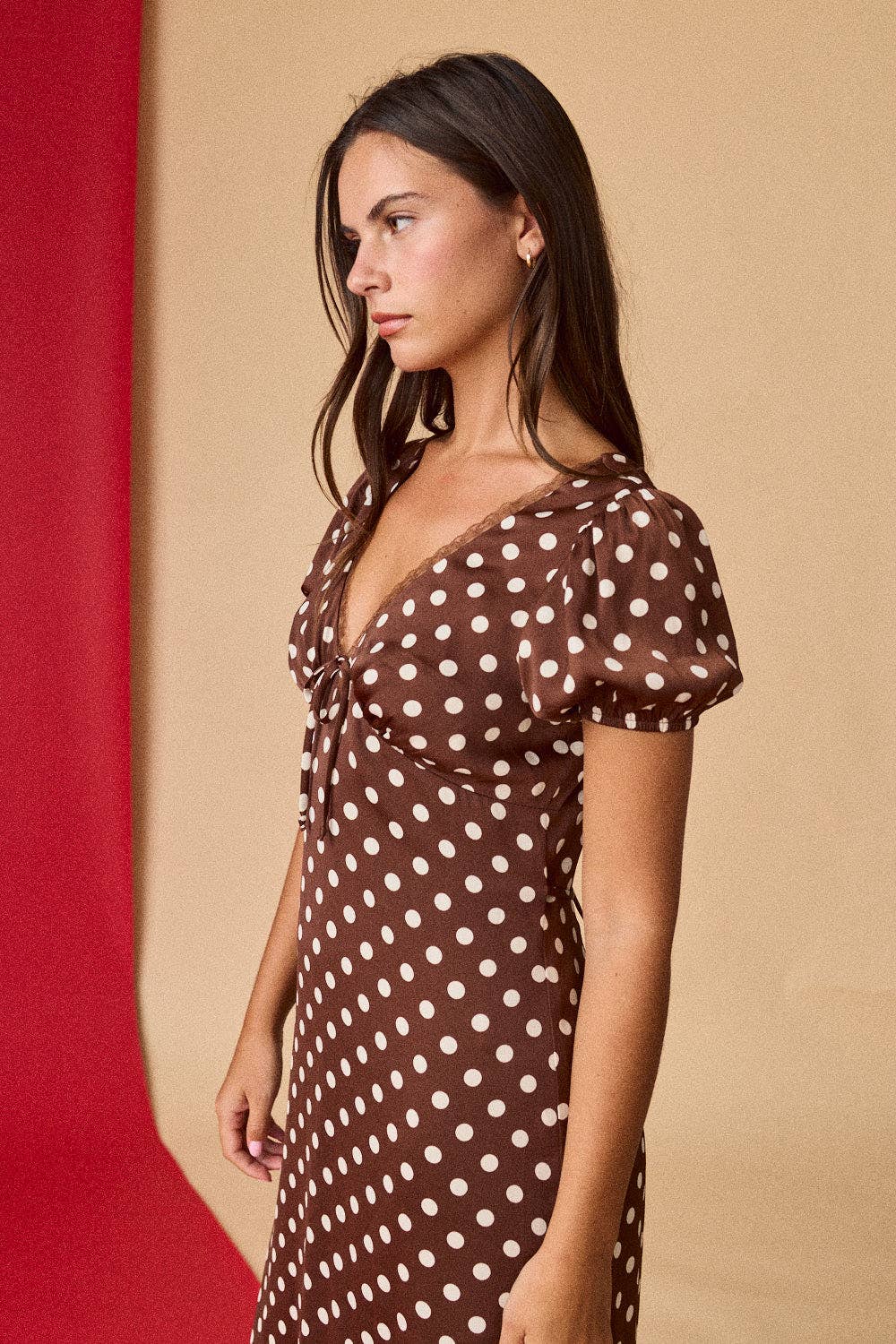 Polka Dot Midi Dress: Brown